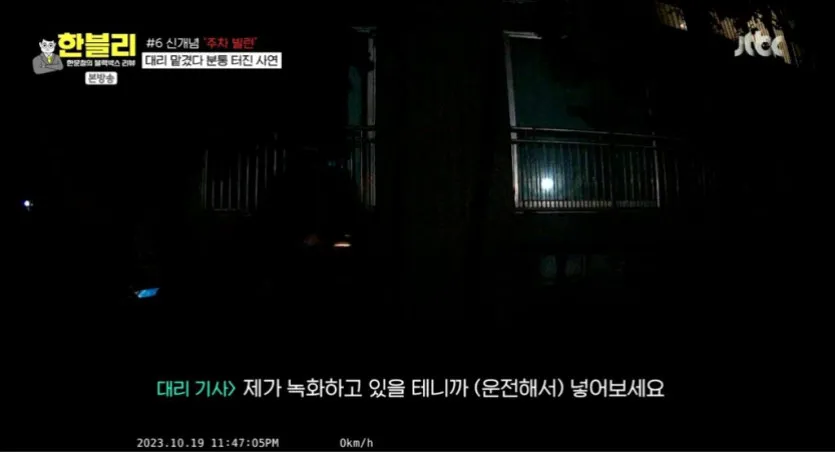 신개념 주차 빌런 대리 기사 13