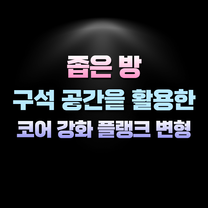 좁은방구석공간을활용한코어강화플랭크변형