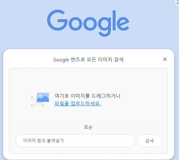 구글꽃검색 2