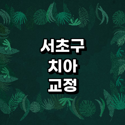 서울 서초구 교정 치과