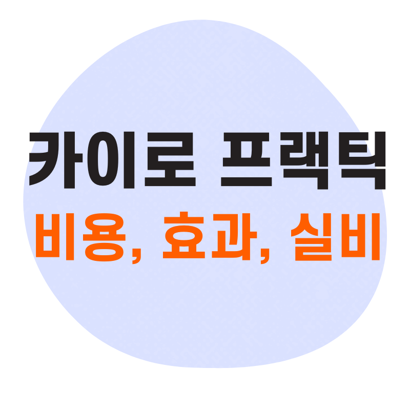 카이로 프랙틱