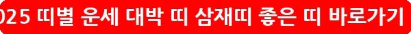 2025 띠별 운세 대박 띠 삼재띠 좋은 띠_4