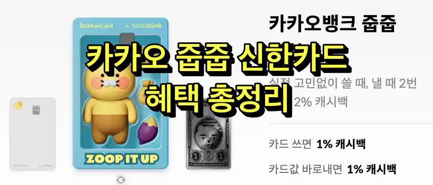 카카오 줍줍 신한카드 혜택 총정리