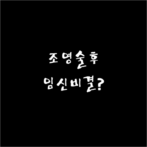 자궁난관조영술 검사 후 임신 성공률 ..