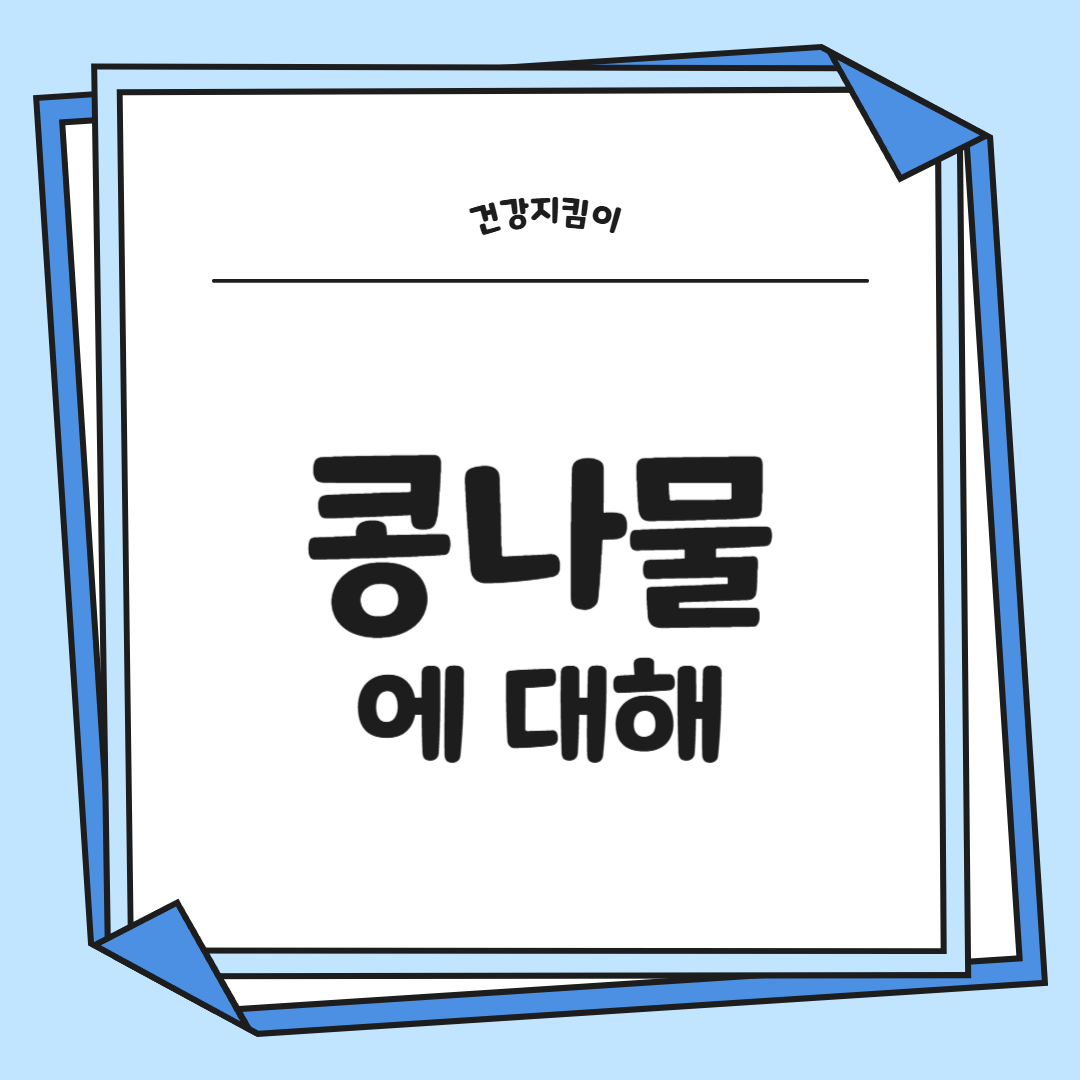 콩나물 효능 부작용 숙취 칼로리