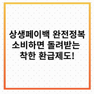 상생페이백