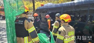 대전 늑대 동물원 오월드 탈출 퓨마 포획 상황