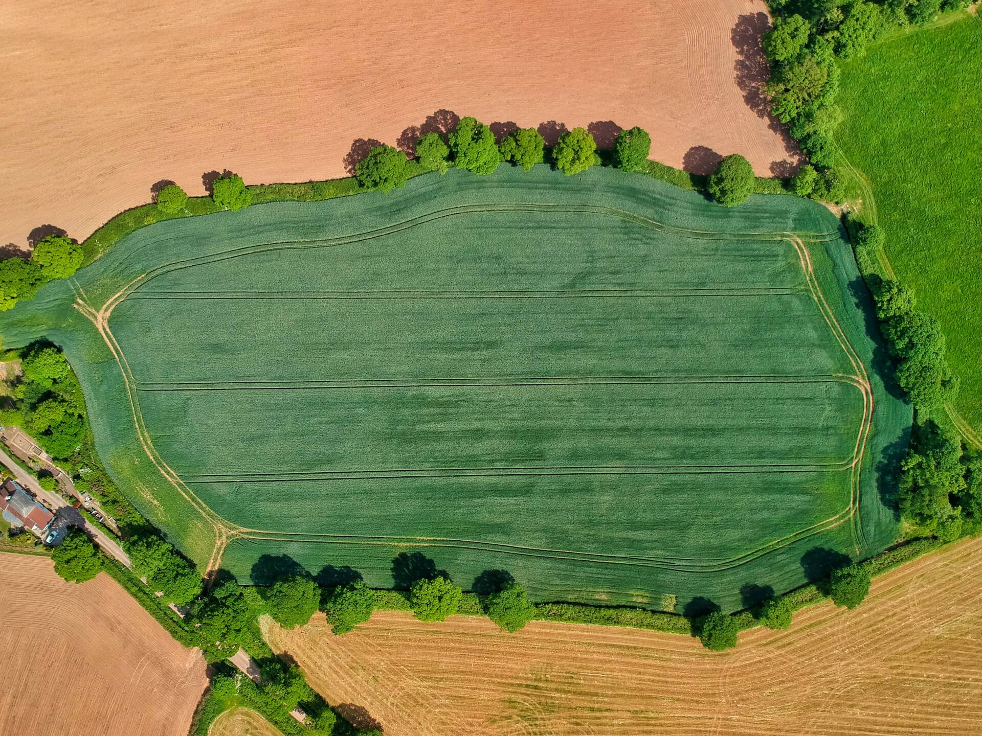 기후 스마트 농업(Climate-Smart Agriculture, CSA)과 저탄소 기술의 융합