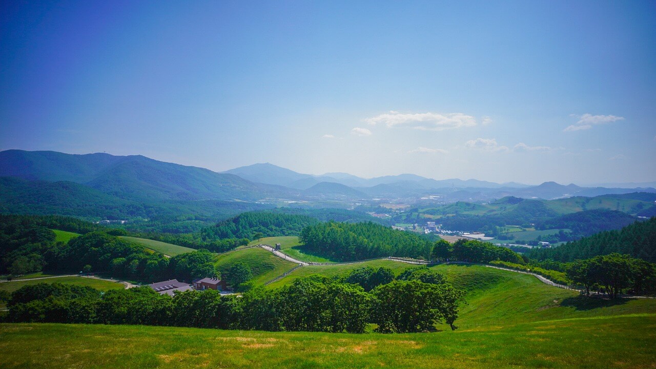 2025 평창 대관령 전국 하프마라톤, 시원한 고지대에서 달리는 여름 러닝의 정석