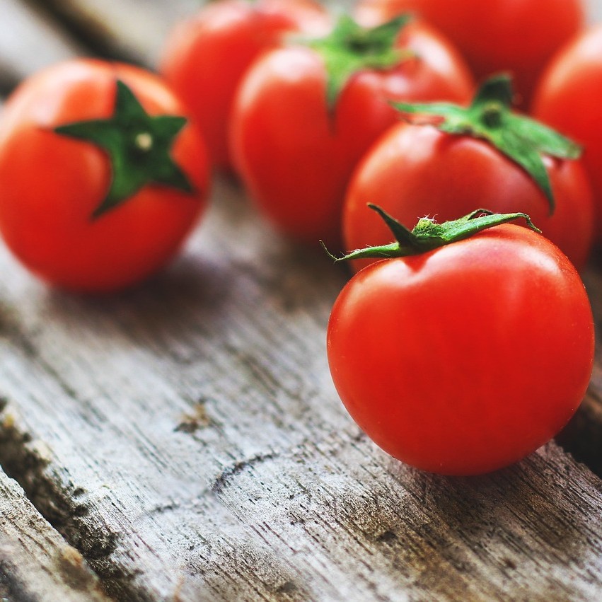 라이코펜(lycopene)이 풍부하게 함유되어 있다고 알려진 신선한 토마토의 사진