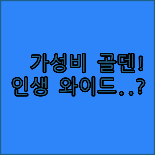 남자 와이드팬츠 가성비 아이템 코듀로..