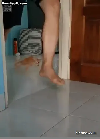 img.webp?credential=yqXZFxpELC7KVnFOS48ylbz2pIh7yKj8&expires=1767193199&allow_ip=&allow_referer=&signature=SIsNBm%2BmzrjF38t002dkNNN5xVM%3D