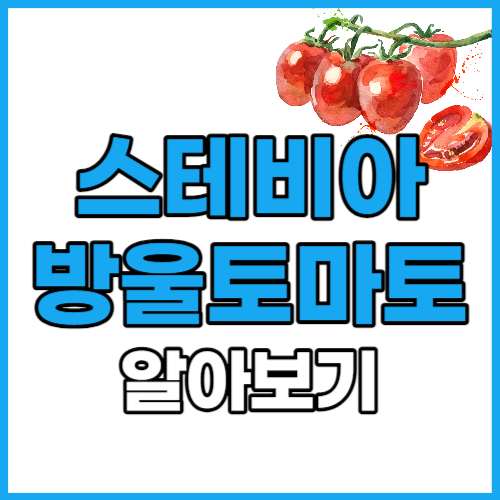스테비아 방울토마토 효능 부작용 칼로리
