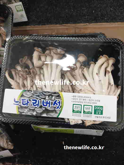 느타리버섯 효능 채소