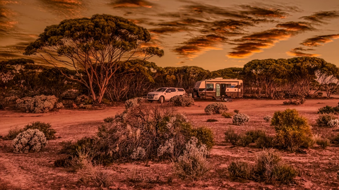 Outback