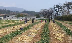 전남 농업인 안전 보험료 80~100% 지원