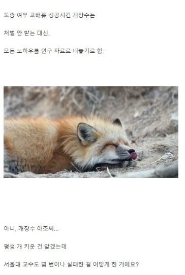 집값을 잡아야 출산율이 상승하는 이유