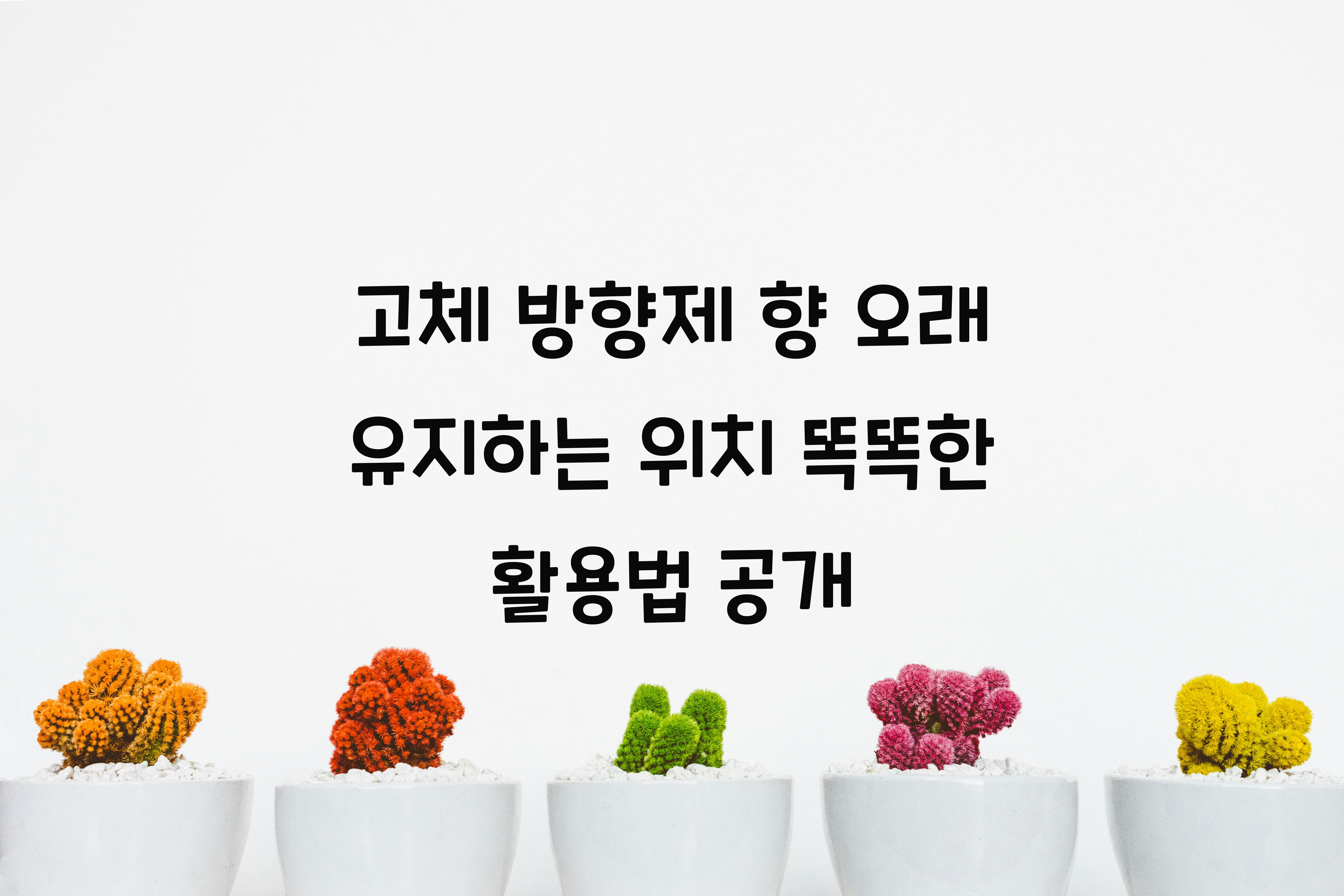 고체 방향제 향 오래 유지하는 위치