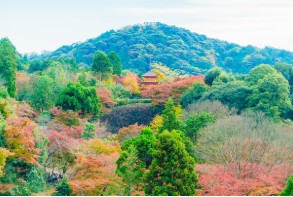 강원도-한-달-살기-5