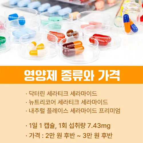 세라마이드 추천