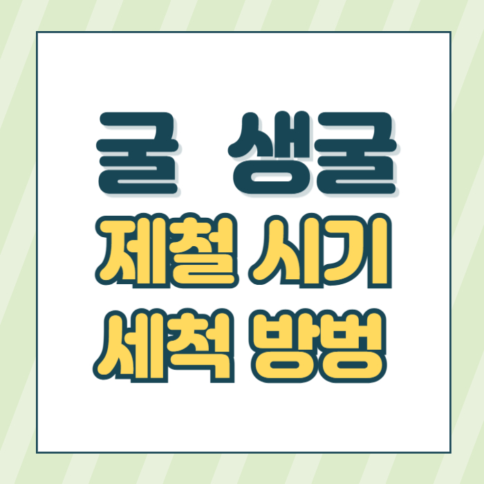 굴시기세척법