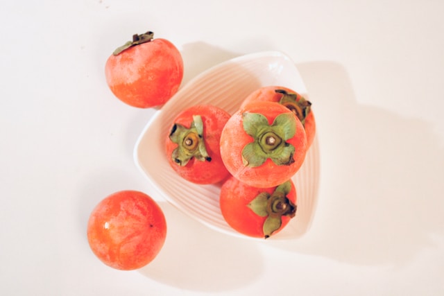 고속버스 시외버스 예매 환불 수수료 총정리