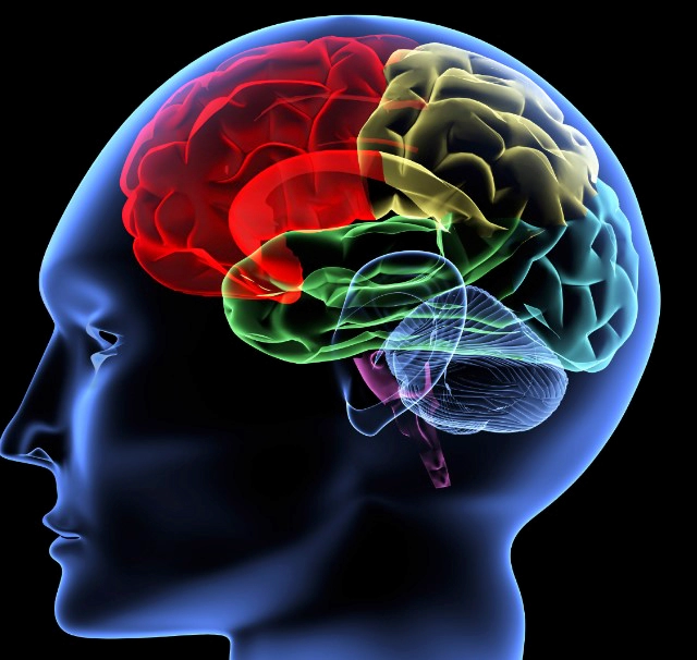 기억력 감퇴이유 6가지