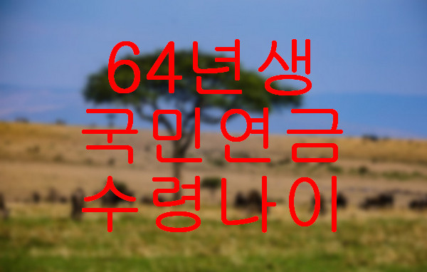 국민연금