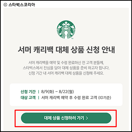 스타벅스서머캐리백