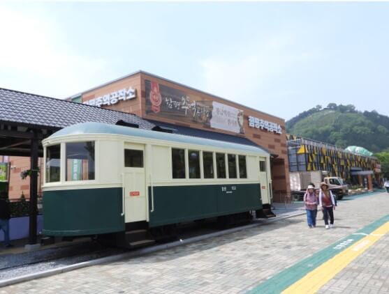 2025 함평 나비 축제 일정부터 주차·입장료까지! 꿀팁 총정리