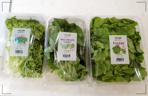 파게로-이자벨-미니로메인