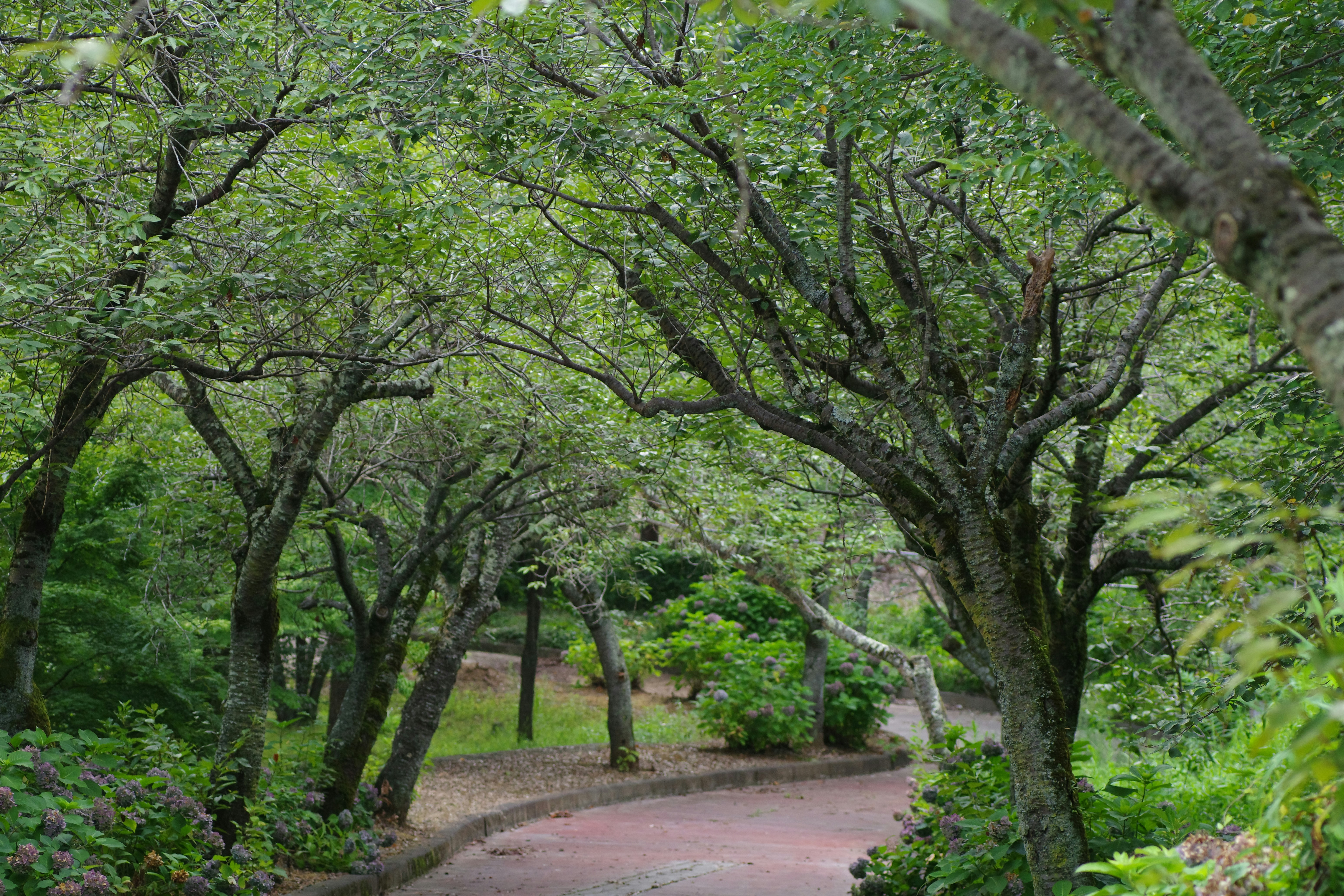 서울 근교 숲 길 걷기 명소