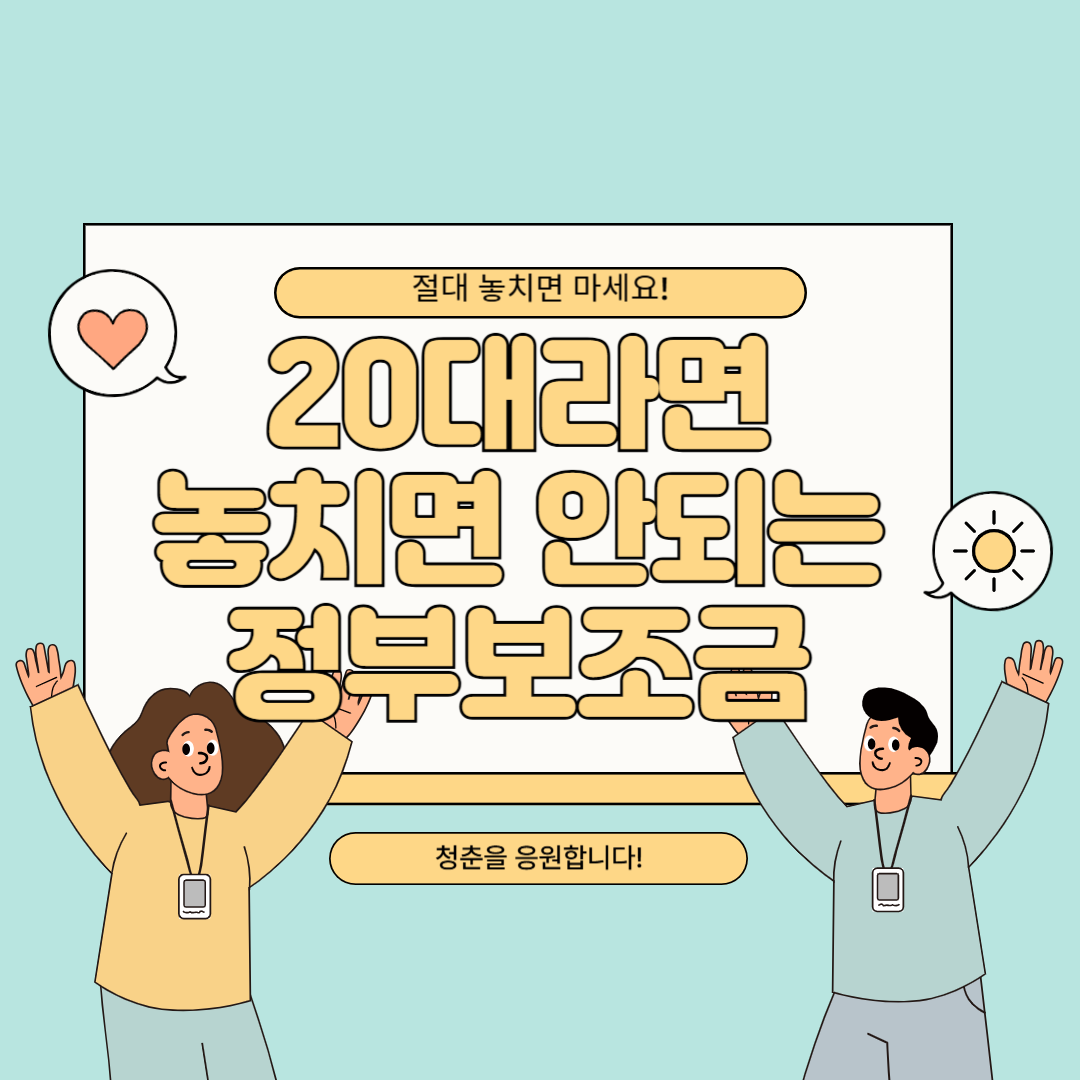 20대 정부 보조금
