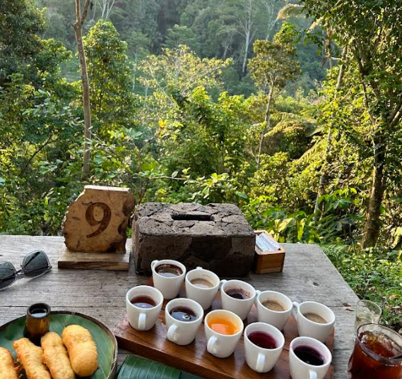 루왁 커피 농장