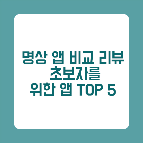명상 앱 비교 리뷰