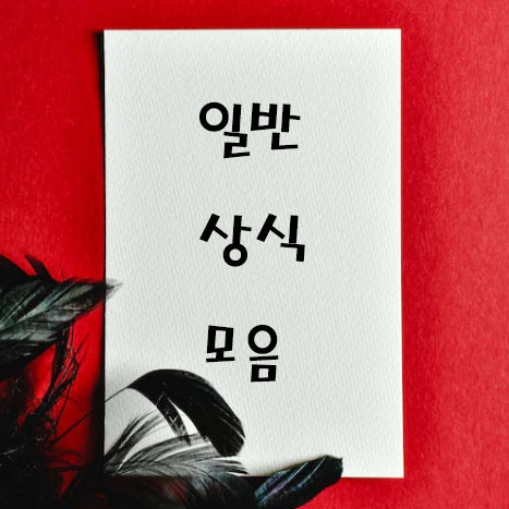 일반-상식-모음