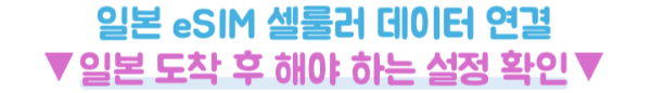 아이폰-일본-이심-eSIM-설치방법-데이터-APN