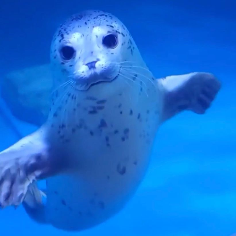 대구아쿠아리움