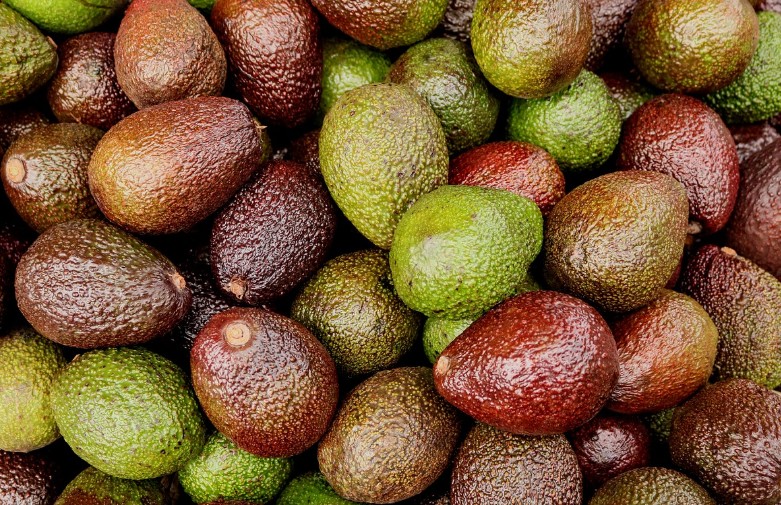아보카도 부작용|유래|잘익은 아보카도|칼로리|영양소|혈당|권장