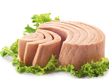 참치