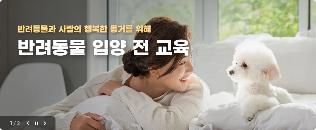 반려동물 입양 전 교육