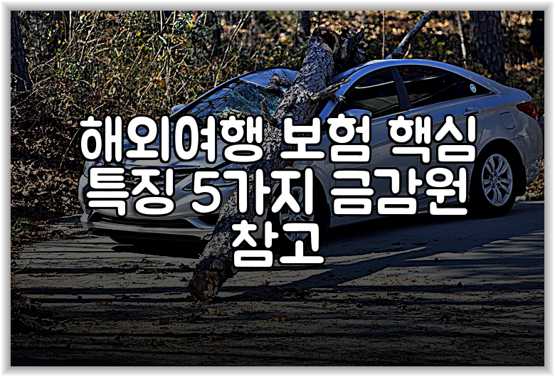 해외여행 보험 핵심 특징 5가지 금감원 참고