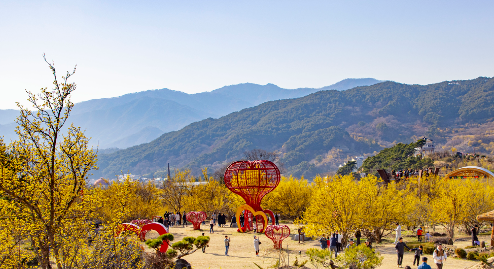 구례 산수유마을