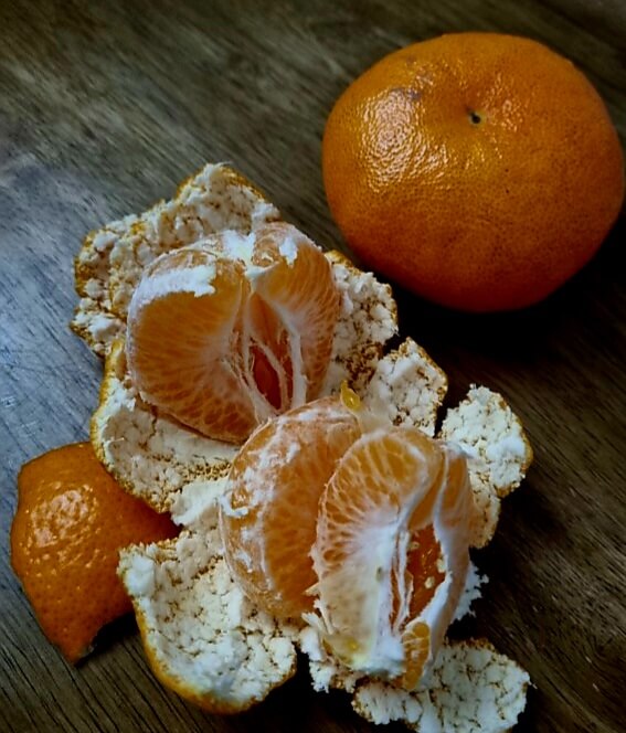 소화를 도와주는 효능 01