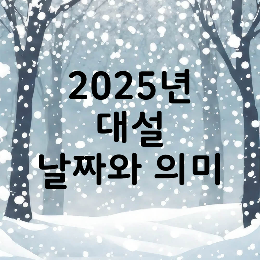 2025년 대설 날짜 의미