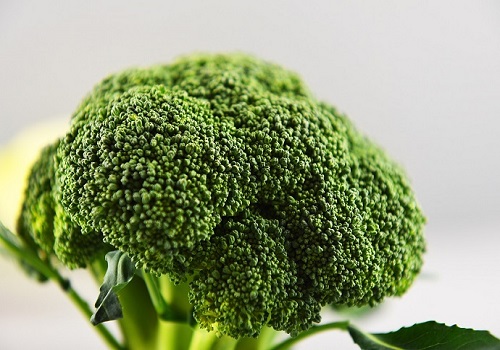 브로콜리