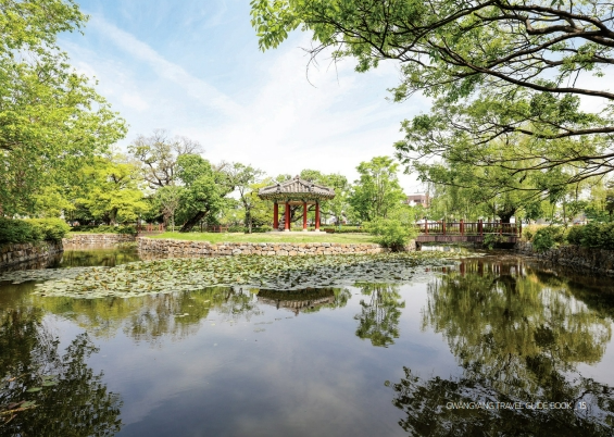 광양 매화 축제 2025 - 봄의 시작을 알리는 아름다운 축제