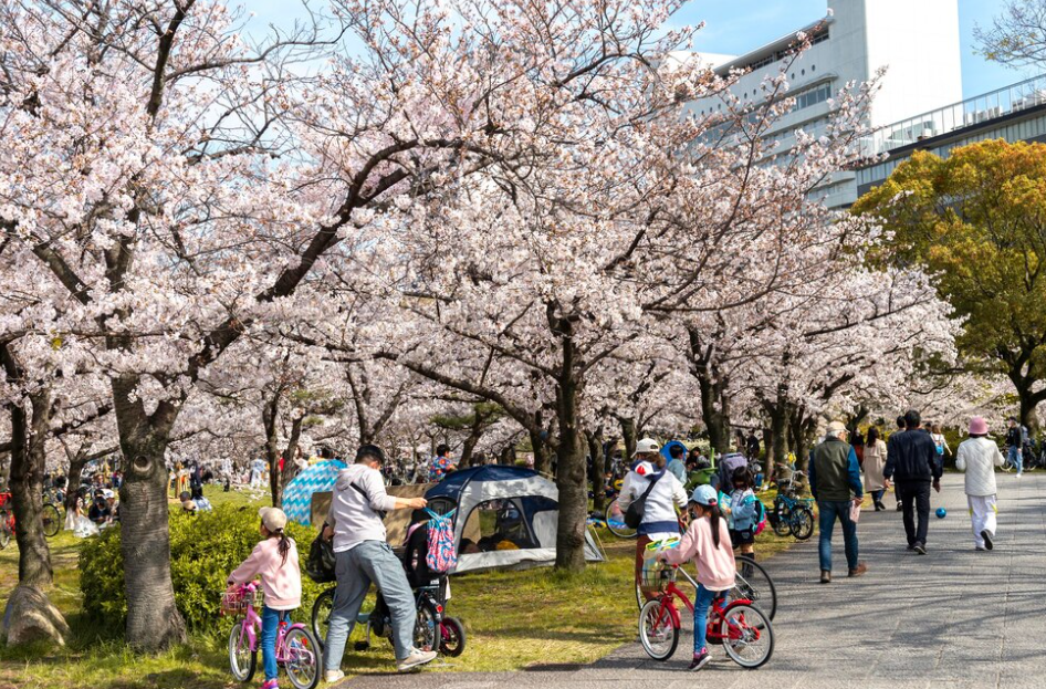 2024년 3월 날씨 전망(서울/강릉/제주도)