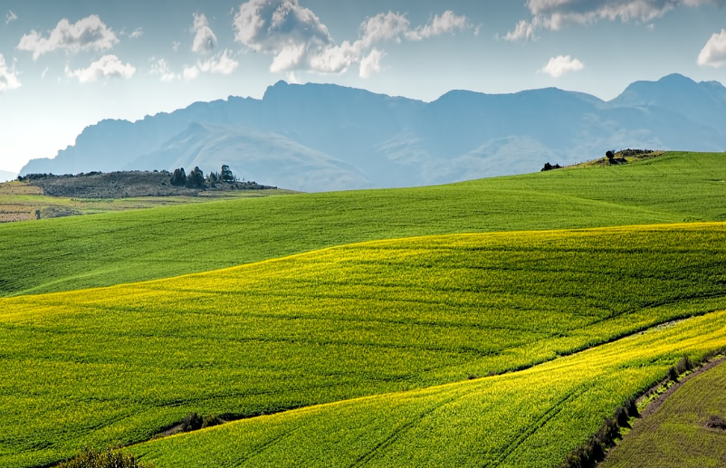 기후 변화와 농업의 미래 – 지속 가능한 해결책 찾기