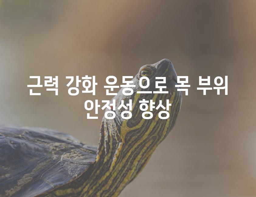 근력 강화 운동으로 목 부위 안정성 향상